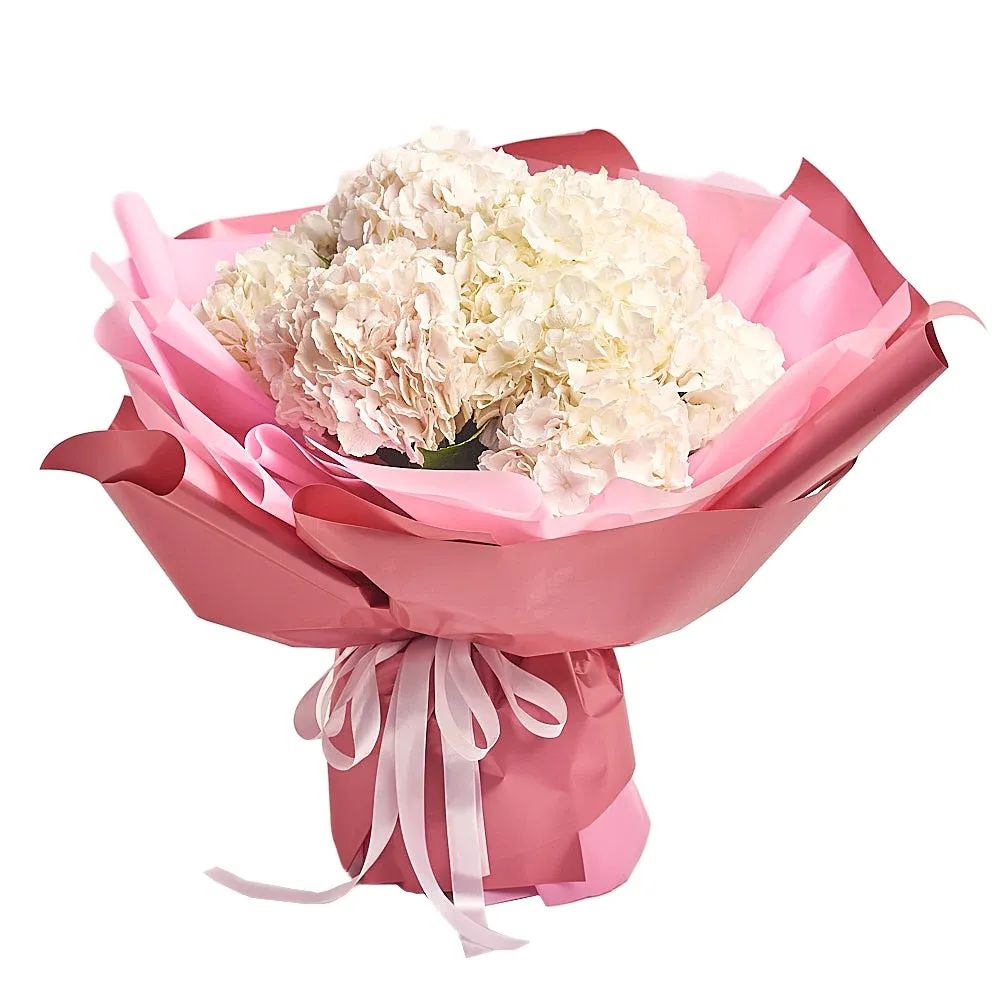 Букет из 11 белых гортензий