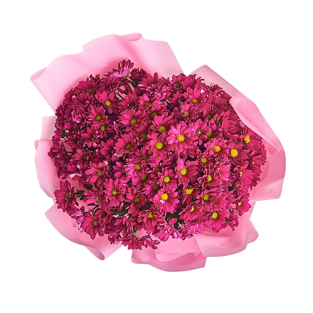 Букет из 15 малиновых ромашковых хризантем