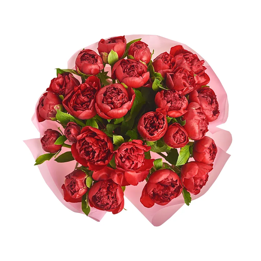 Букет из 25 красных пионов