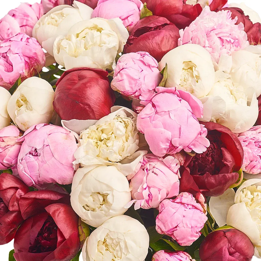Букет из 51 разноцветного пиона