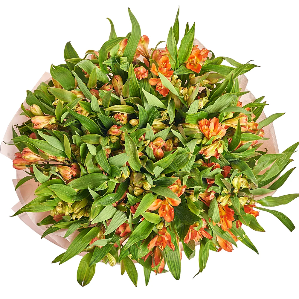 Букет из оранжевых альстромерии
