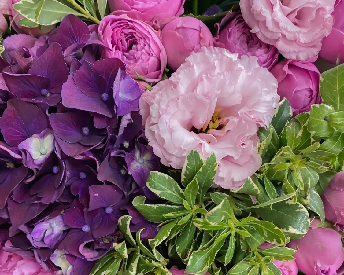 Цветы поштучно